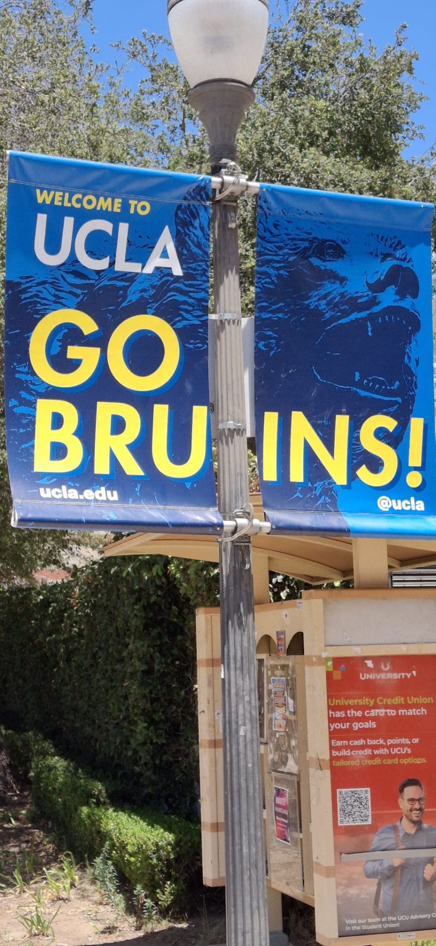 Campus UCLA — Go Bruins